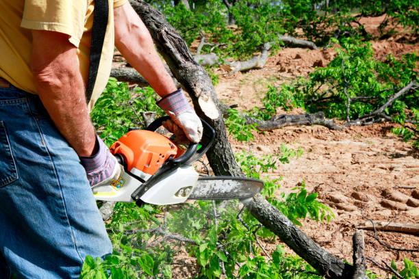 Soil Testing and Treatment in Blackhawk, SD